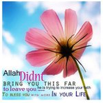 Profile Picture of Daniela Rentschler (@kk_t112_) on Instagram