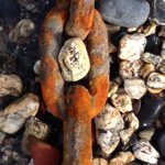 Profile Picture of Andrew Caton (@tractorboycaton) on Instagram