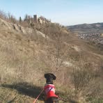 Profile Picture of Antonio Battaglioli (@antonio.battaglioli.71) on Facebook