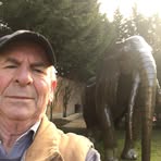 Profile Picture of Michele Palmiero (@Michele-Palmiero) on Facebook