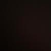 Profile Picture of Lilly (@wright_lilly) on Tiktok