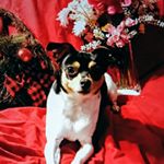 Profile Picture of Vinny Bagileo (@vinnybagileo) on Instagram