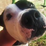 Profile Picture of Maxwell Nash (@therealjohnbob) on Instagram
