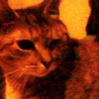 Profile Picture of Christopher Schoffstall (@christopher-schoffstall) on Quora