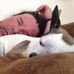 Profile Picture of Greg Brewer (@pransir1) on Instagram