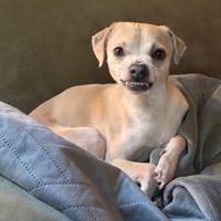 Profile Picture of Leah Bennett (@leah-bennett-32) on Quora