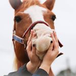 Profile Picture of Lile Hill (@lileandsam) on Instagram