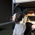 Profile Picture of Chris Moore (@moorelaterdesign) on Instagram