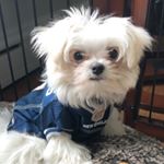 Profile Picture of Brady Theodore (@brady.theodore12) on Instagram