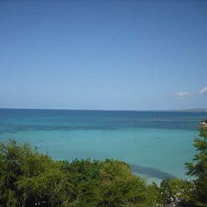 Profile Picture of Moraima Diaz (@mdiaz0721) on Twitter