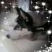 Profile Picture of Nancy Oriach (Nancy Oriach) (@nancy.oriach) on Facebook