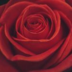 Profile Picture of Kraushaar Bianca (@biancakraushaar) on Instagram