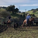 Profile Picture of Jason Mercurio (@jason.mercurio.5) on Instagram