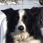 Profile Picture of Seán McGuirk (@mcguirk1888) on Instagram
