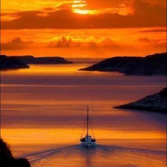 Profile Picture of A David (@adavid100) on Poshmark