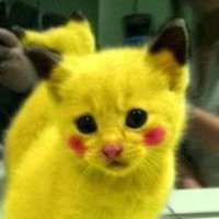 Profile Picture of Katelyn Dombrowski (@katelyn-dombrowski) on Quora