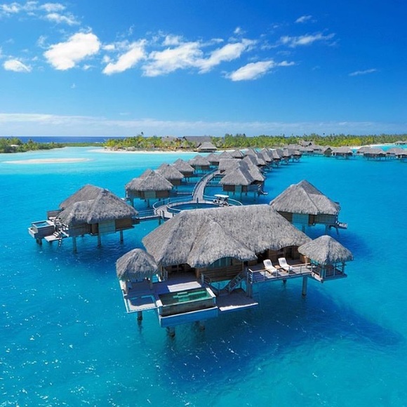 Janie Toren - Poshmark Profile Picture of Janie Toren (@janiekt) on Poshmark