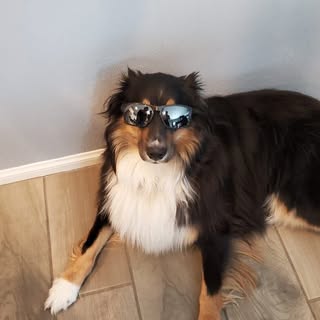 Brian Carella - Instagram Profile Picture of Brian Carella (@briancarella) on Instagram