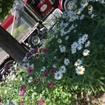 Profile Picture of Doris Cottrill (@Doris-Cottrill) on Facebook