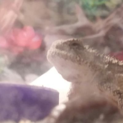 Profile Picture of Zablocki197 (@matt_zablocki) on Twitter