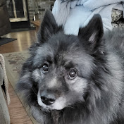 Profile Picture of Brian Glennie (@bgglennie) on Youtube