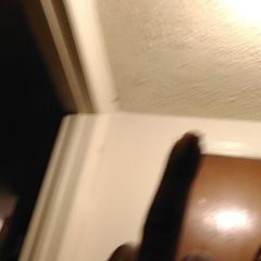 Profile Picture of Hurst Gotti (@stevenbroadhurst1) on Tiktok