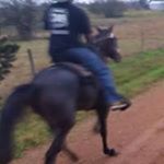 Profile Picture of John Busch (@jdbuschii1) on Instagram