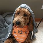 Profile Picture of Michael Motyka (@memotyka) on Instagram