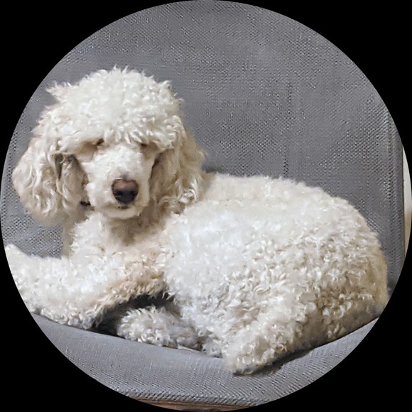 Naomi Dawn - Poshmark Profile Picture of Naomi Dawn (@namodawn) on Poshmark