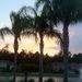 Profile Picture of Robin Russell-pattee (@robinpattee) on Pinterest