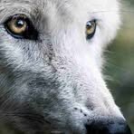 Profile Picture of Bobbie Schofield (@Bobbie-Schofield) on Facebook