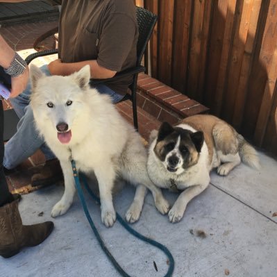 Profile Picture of James Peluso (@James3peace) on Twitter