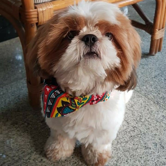 Profile Picture of Pinky Mukerjee (@pinkymuk75) on Poshmark