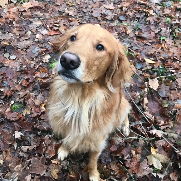 Profile Picture of Jake Mason (@jakemason) on Poshmark