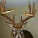 Profile Picture of Jim Kellerman (@jim.kellerman.313) on Facebook