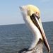 Profile Picture of Danny Mansfield (@dannymansfield883) on Pinterest