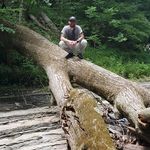 Profile Picture of Dave Hodge (@dhodge5419) on Instagram