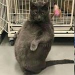 Profile Picture of Dylan Frasure (@frasuredylan) on Instagram