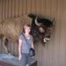Profile Picture of Laurie Link (@lllink) on Pinterest