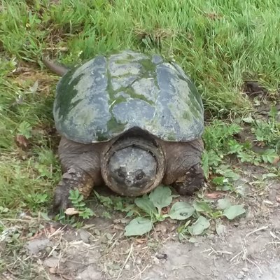 Profile Picture of Dan Dalzell (@DanDalzell3) on Twitter