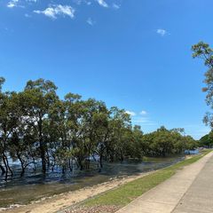 robinredcliffe - Tiktok Profile Picture of robinredcliffe (@robinredcliffe) on Tiktok