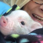 Profile Picture of Nola Mae McNutt (@nola_dat_pig) on Instagram