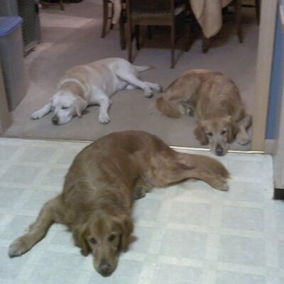 Profile Picture of Vicky Hebert (@hebert986) on Twitter