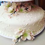 Profile Picture of Classic Cakes by Carol Murdock (@classiccakescm) on Instagram