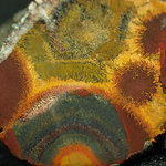 Profile Picture of Chris Topher (@rockpetals) on Flickr