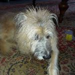 Profile Picture of Barry Cutler (@barry.cutler.792) on Instagram