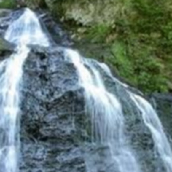 Peter Baskerville - Poshmark Profile Picture of Peter Baskerville (@peter9407) on Poshmark