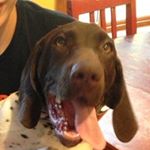 Profile Picture of Simon Carney (@simon_carnage) on Instagram