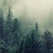 Profile Picture of William Jefferies (@suitewilliam1) on Pinterest