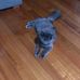 Profile Picture of Ginny Wong (@ginny.wong.754703) on Facebook
